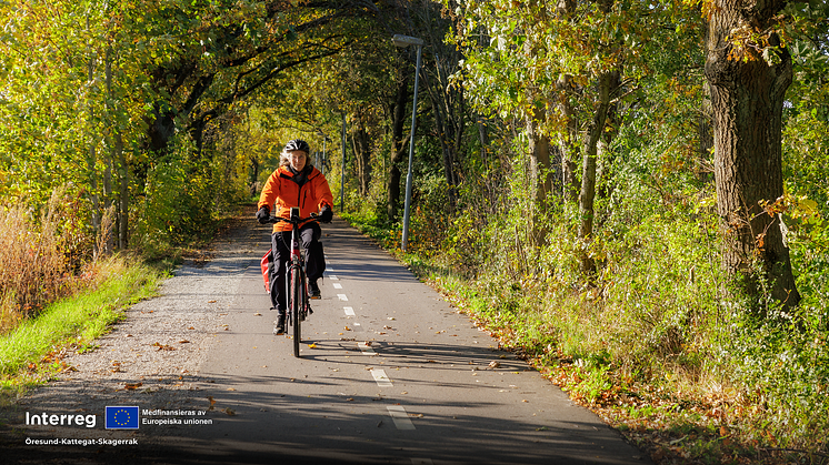 Kvinna cyklar på skogsväg. 
