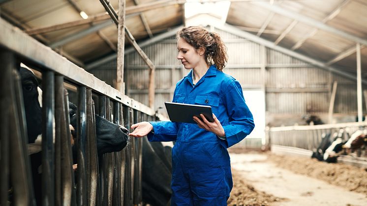 2024-10-29 Seminarium: Human Behaviour and Biohazards in the Livestock Sector – the good and the bad