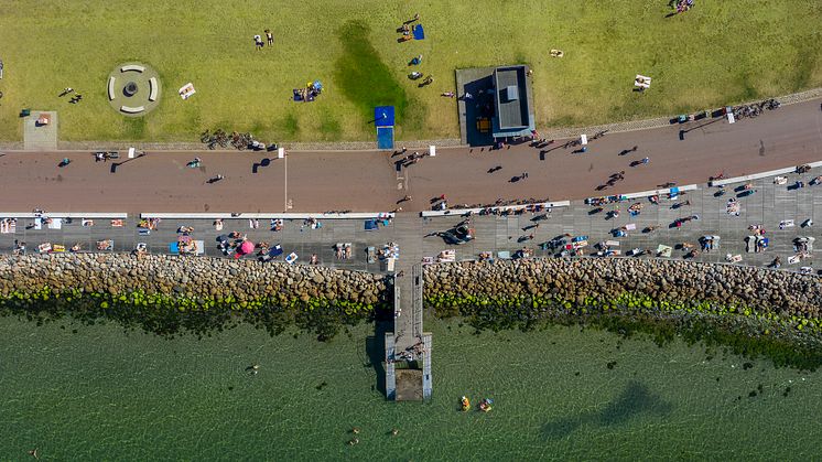 Helsingborgs stad hoppas att fler ska få användning av årets trend- och omvärldsanalys. Foto: Martin Sörbo