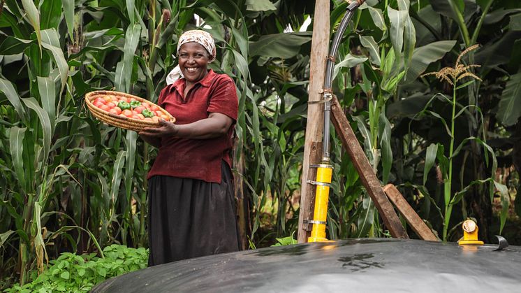 A farmer uses a Sistema.bio biodigester, part of Novastar’s portfolio supporting sustainable farming. Photo: Sistema.bio