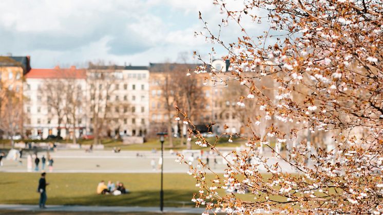 Bostadsmarknaden svalnar: få mäklare tror på prisuppgång