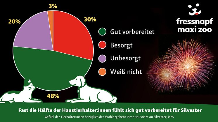 Gut vorbereitet ins Jahr 2025: Wie Tierhalter:innen in Deutschland Silvester meistern