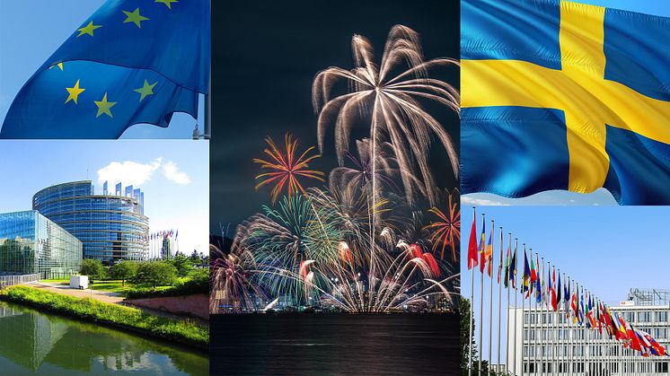 2025-06-10 Seminarium: Sverige och de areella näringarna i EU 30 år