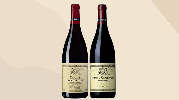 Nyhet! mogen Bourgogne från Jadot