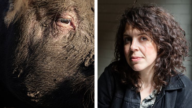 ”Det känns väldigt fint få fylla Arbetets museum med bilder på ett djur som vi så sällan får möta”, säger Julia Lindemalm.