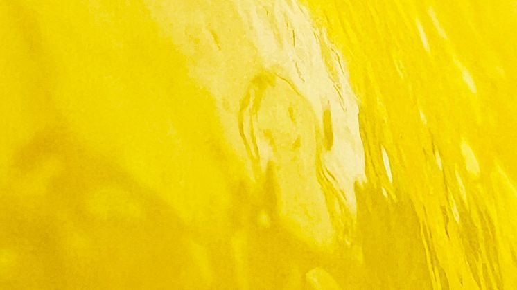 Press Invitation: This years MFA exhibition from Umeå Academy of Fine Arts opens at Bildmuseet