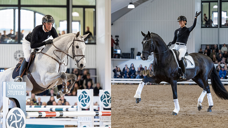 Insider VDL/Thomas Ryan & Racoon/Caroline Darcourt, foto Roland Thunholm