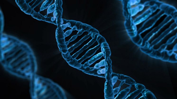 Barncancerfonden lanserar innovationsprojektet BrainChild i samarbete med EQT Foundation – vill skapa nya förutsättningar för barncancerforskning