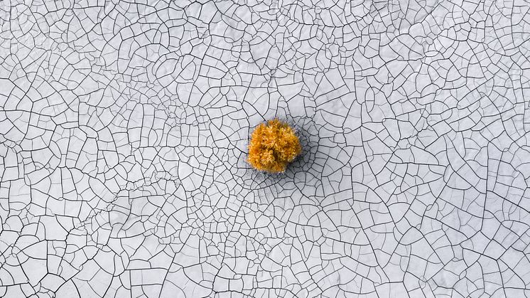 Stunning Images Already Challenging Judges in DJI SkyPixel 10th Annual Photo and Video Contest