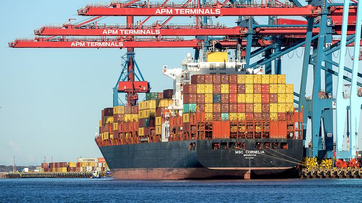 Från februari 2025 utökar MSC sitt nätverk med en ny direktlinje mellan APM Terminals i Göteborg och Asien. Redan idag erbjuder MSC en direktservice mellan Göteborg och USA.