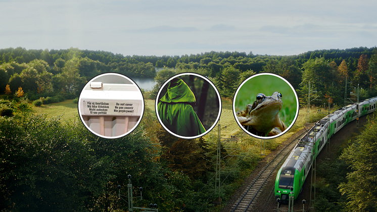 Vad ska VR-tåget heta – Ei saa peittää, Grönluvan eller Grodan? 