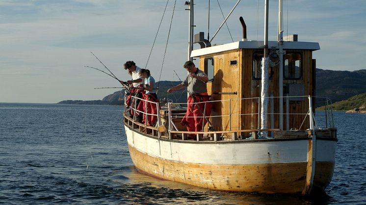 Direct Access to Northern Culture: Finnair Expands Route to Kirkenes