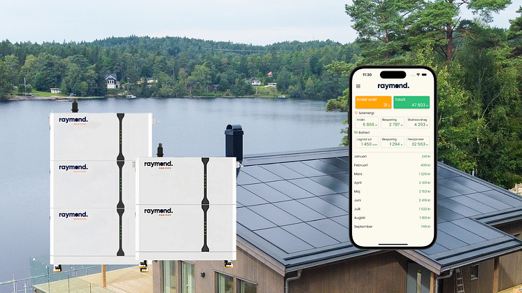 Smart Solar Roof, Raymond Solid State och Raycloud
