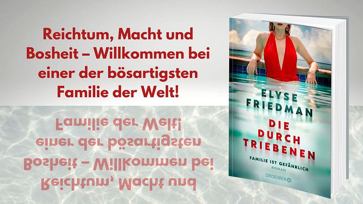 Ein Netz aus Lügen und Intrigen: Die Kanadierin Elyse Friedman präsentiert einen bitterbösen Familienroman
