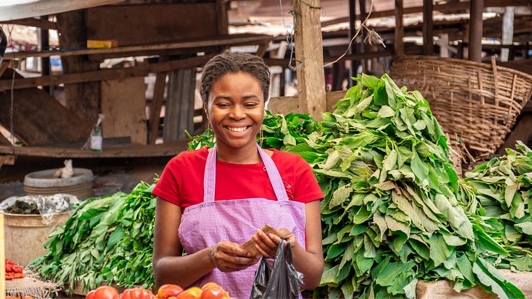 Swedfund invests in preservation and creation of African SME jobs