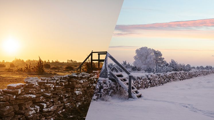 nyhetsbrev februari