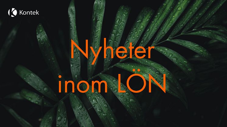 Värdefulla tips och nyheter som är bra att känna till. Flera av dem kan säkert komma att påverka ditt framtida löne- och personalarbete.