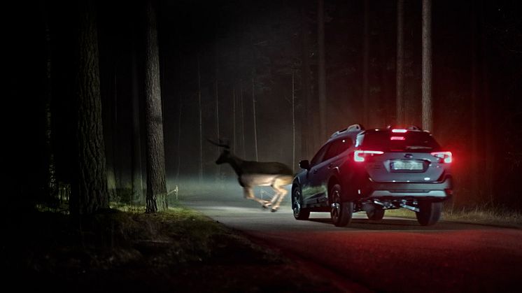 Subaru Outback_hjorten_16-9_HN_LU.jpg