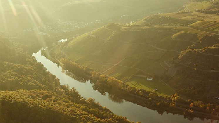 doennhoff-weingut-14.jpg