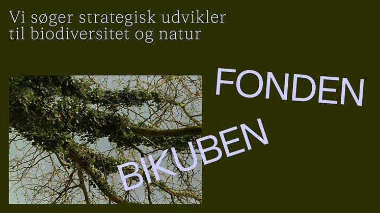 Strategisk udvikler til biodiversitet og natur i Bikubenfonden.jpg