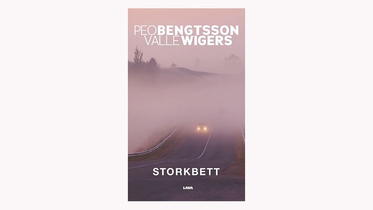 Hemligheter hotar allt i Bengtsson och Wigers nya roman "Storkbett"