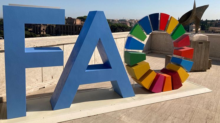 2025-06-09 Seminar: Partnering with FAO for Global Food Security – Celebrating 75 Years of the Swedish FAO Committee