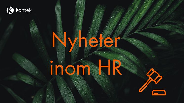 På Kontek håller vi oss alltid uppdaterade om det senaste inom HR och lönehantering - information som vi gärna delar med oss av. 