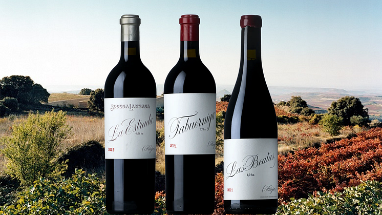 NYHET! Världsklass från Telmo Rodriguez och Bodega Lanzaga i Rioja
