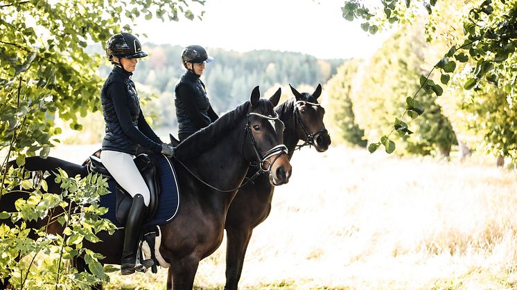 Till hösten 2025 öppnar JENSEN ett ridgymnasium i Tungelsta, Haninge kommun. 