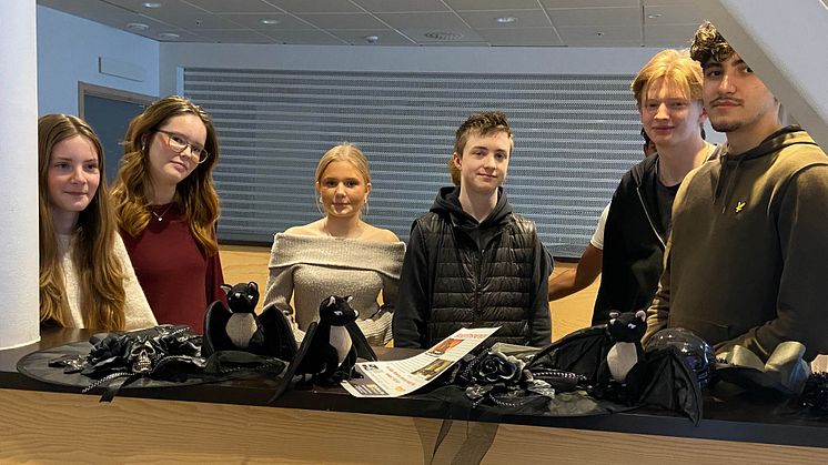 Ungdomar i Kulturcrew anordnar en helkväll med skräckfilm för sina jämnåriga.
