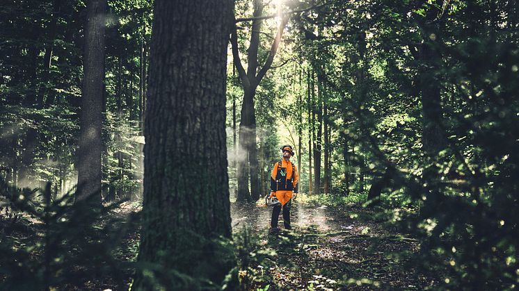 Den nordiske skogs- og grøntområdebransjen foretrekker en blanding av bensin- og batteridrevne maskiner.