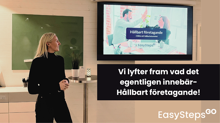 Långsiktig tillväxt och riskhantering för framgångsrika företag