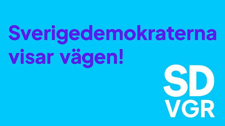 Sverigedemokraterna visar vägen
