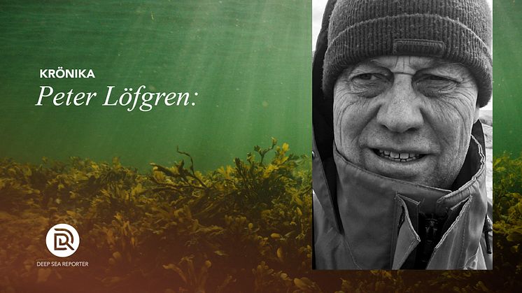 Krönika: Avgörande möte om fisken