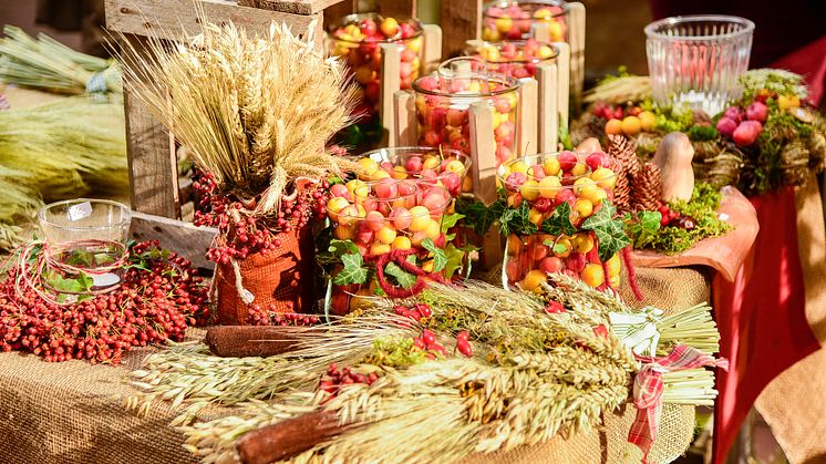 Der Bauern- und Regionalmarkt bringt vom 06.-08. Oktober herbstliches Flair in die Kieler Innenstadt