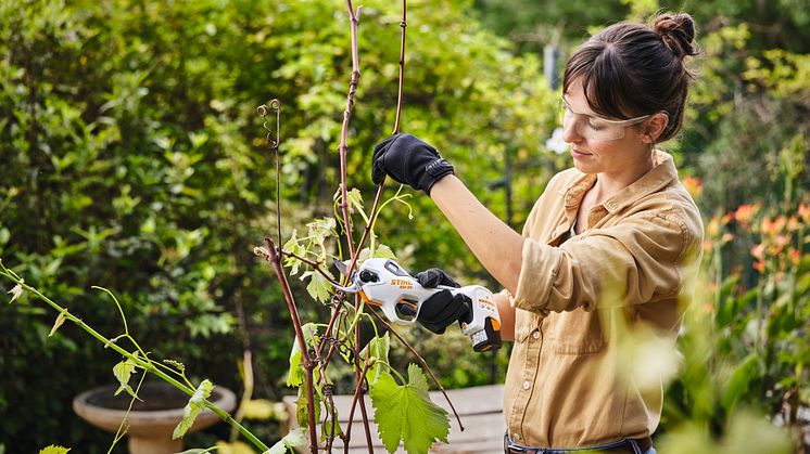 STIHL presenterar fem tips för en enklare sommarträdgård.
