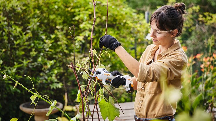 STIHL præsenterer fem tips til en nemmere sommerhave.