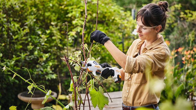 STIHL presenterer fem tips for en enklere sommerhage.