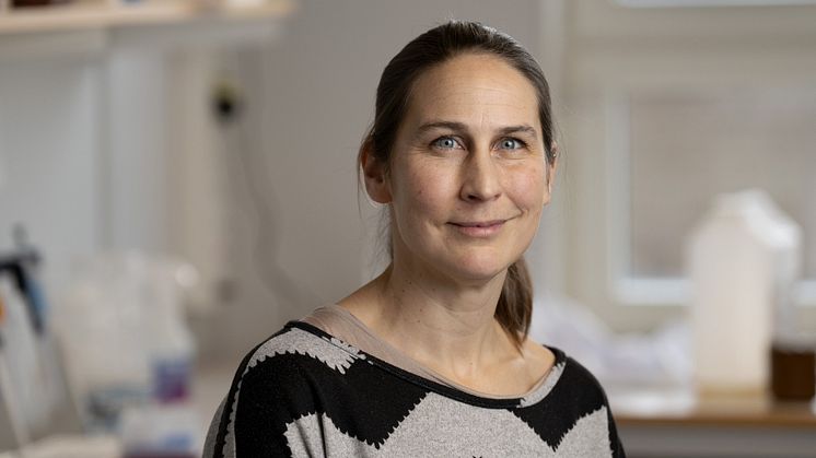 Ingrid Wernstedt Asterholm får Leif C. Groop-priset för forskning om fettväven. Foto: Johan Wingborg