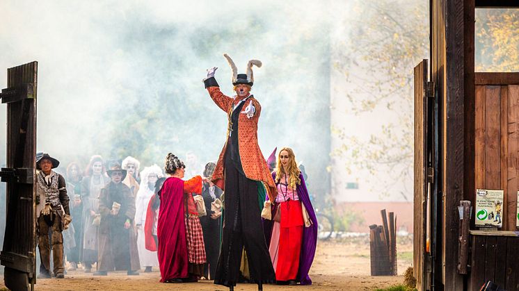 Vorhang auf und Bühne frei heißt es bald für die Herbstferien! Halloween wird dann beispielsweise auch im El Dorado Templin gefeiert - vom 30.10.-2.11.2024. Foto: El Dorado Templin.  