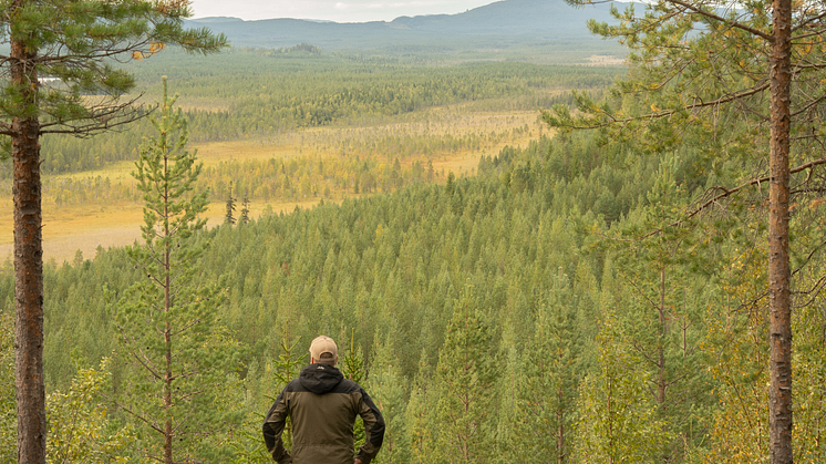 Norra Skog ser de föreslagna förändringarna som en viktig grund för att balansera skogsbrukets ekonomiska, miljömässiga och sociala mål. 