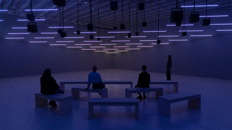 Alexandra Daisy Ginsberg's Machine Auguries visas på Bildmuseet 2024–2025. © Alexandra Daisy Ginsberg Ltd. Foto: Malin Grönborg