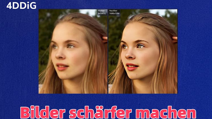 bilder-schaefer-machen