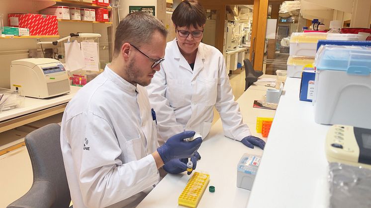 Efraim Westholm och Lena Eliasson har mätt nivåerna av proteinet IGFBP7 i betaceller från personer med typ 2-diabetes. Foto: Petra Olsson 