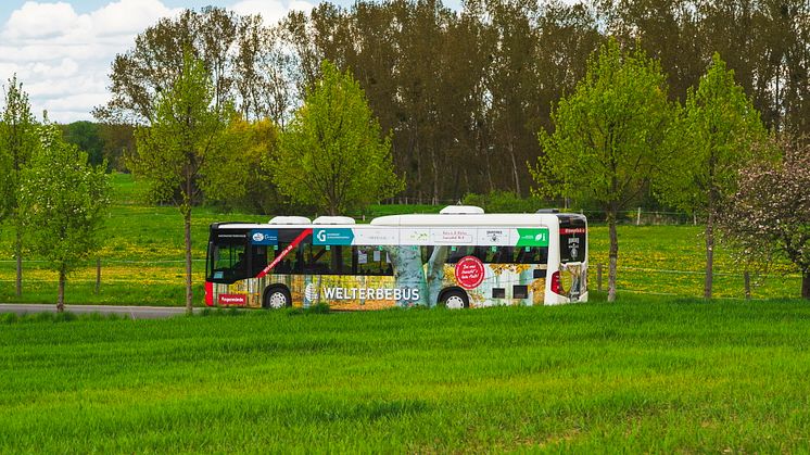 Der Welterbe-Ausflugsbus in der Uckermark ist wieder unterwegs und fährt vom Bahnhof Angermünde in den Buchenwald Grumsin. TMB-Fotoarchiv / Steffen Lehmann