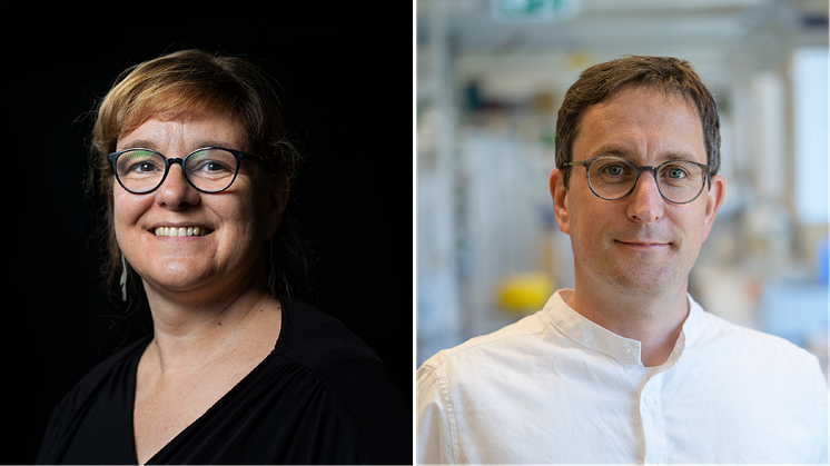 Stéphanie Robert till vänster (foto: Erik Abel) och Stephan Wenkel (foto: Mattias Pettersson) är deltagare i de två forskningskonsortierna STARMORPH och RESYDE som tilldelats ERC Synergy Grant.
