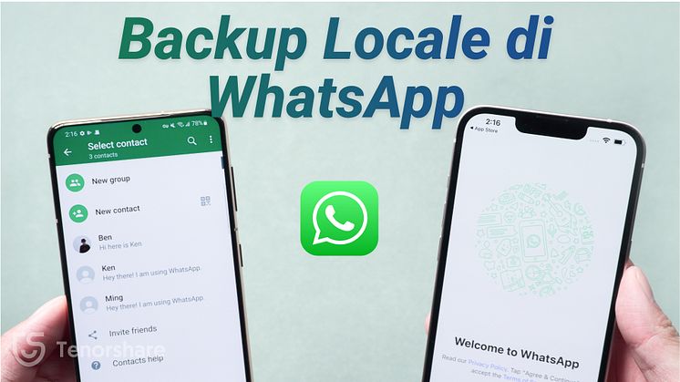 Come Backup Locale Tutto di WhatsApp