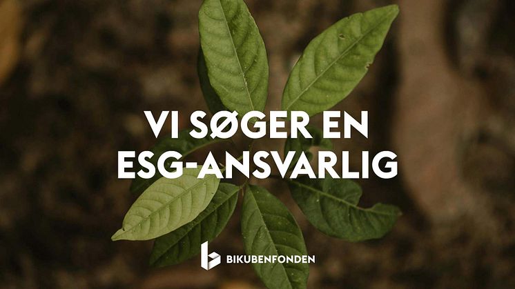 Vi søger ESG-ansvarlig hos Bikubenfonden