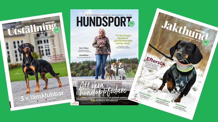 SKK lanserar Hundsport-app för medlemstidningarna