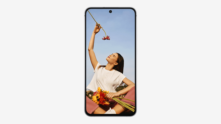 Picture3.gif